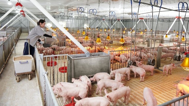 Loạt cổ phiếu lần lượt rời sàn - lên sàn chứng khoán đầu năm 2026- Ảnh 1.