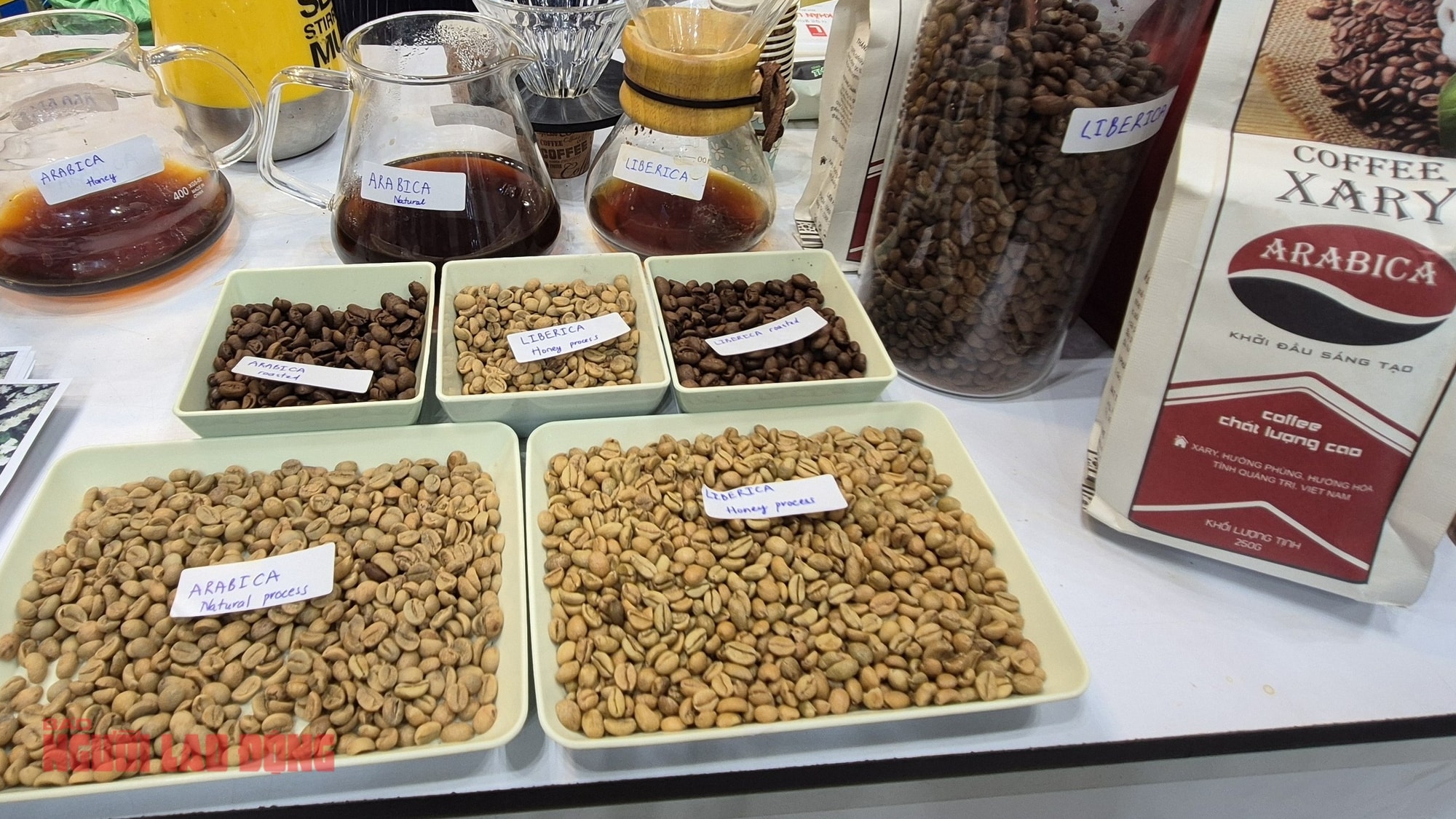 Giá cà phê hôm nay 5 - 1: Arabica Việt Nam có sự tăng trưởng Bất ngờ - Ảnh 3.