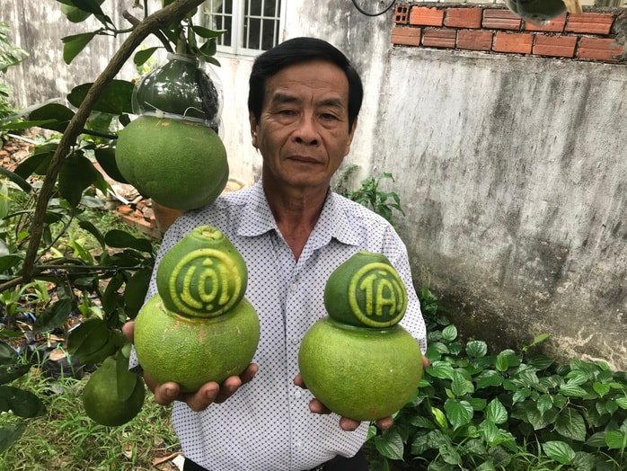 Thị trường Tết không còn mặn mà với trái cây "độc, lạ"? - Ảnh 2.