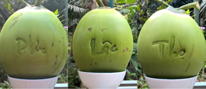 Thị trường Tết không còn mặn mà với trái cây "độc, lạ"? - Ảnh 1.