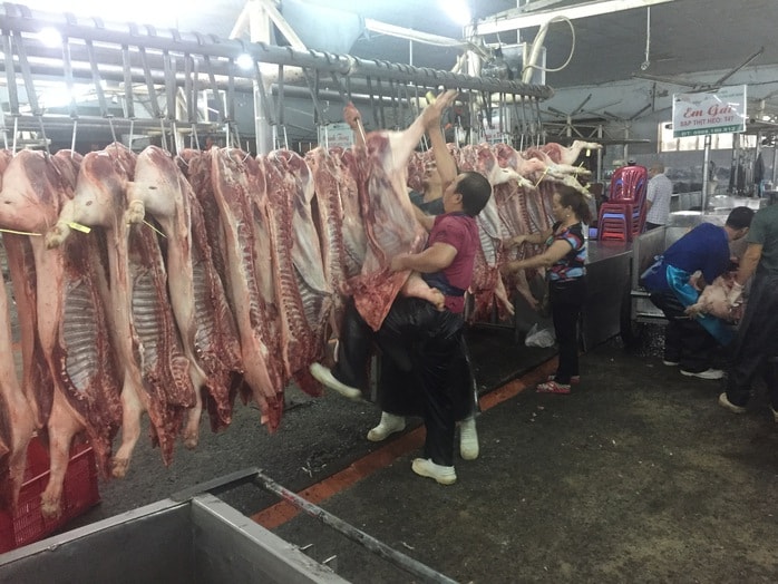 Giá heo hơi hôm nay 5 - 1 - 2026: Xu hướng giảm giá Sau lễ tết - Ảnh 1.