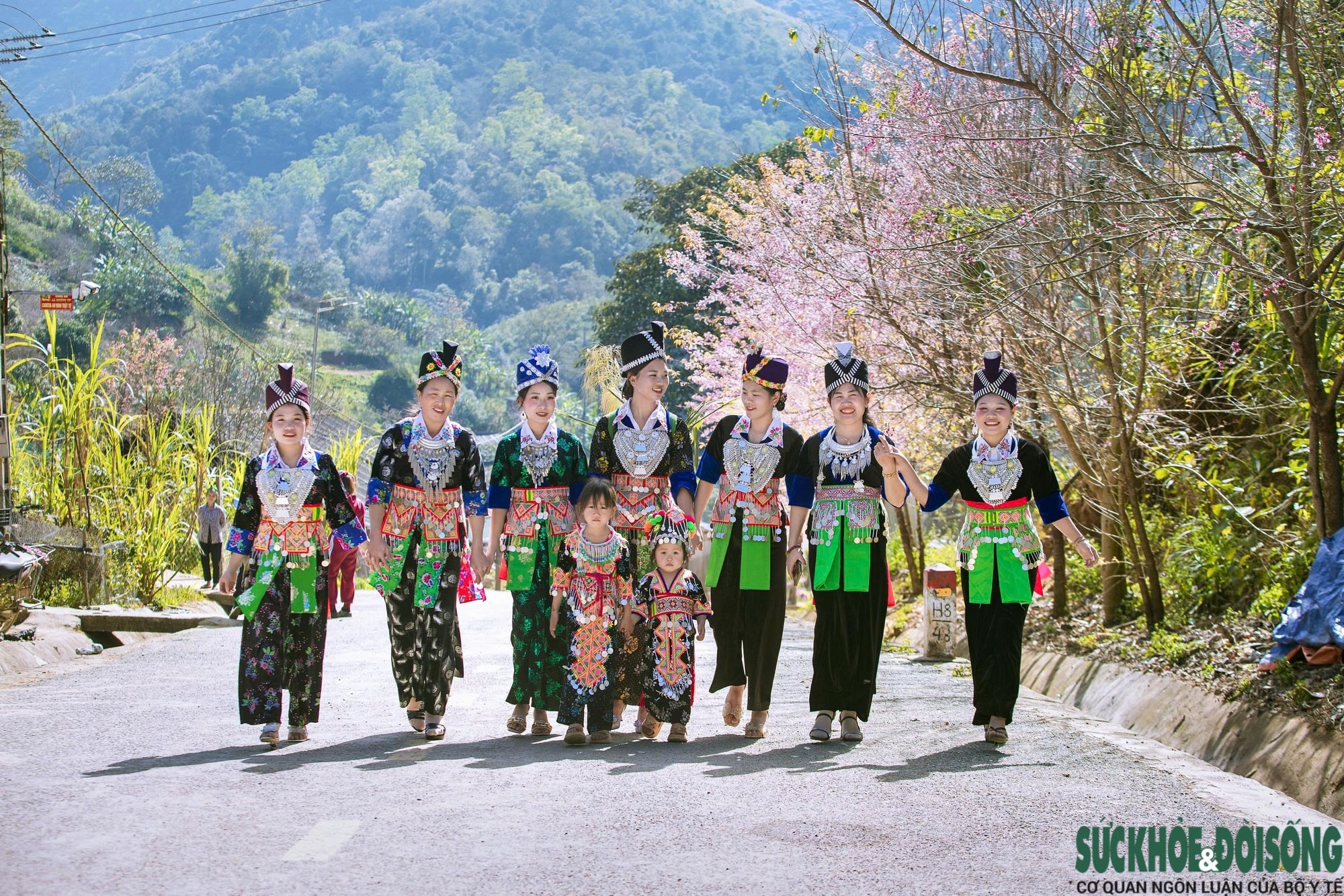 Hoa anh đào nhuộm hồng miền biên viễn xứ Nghệ- Ảnh 16.