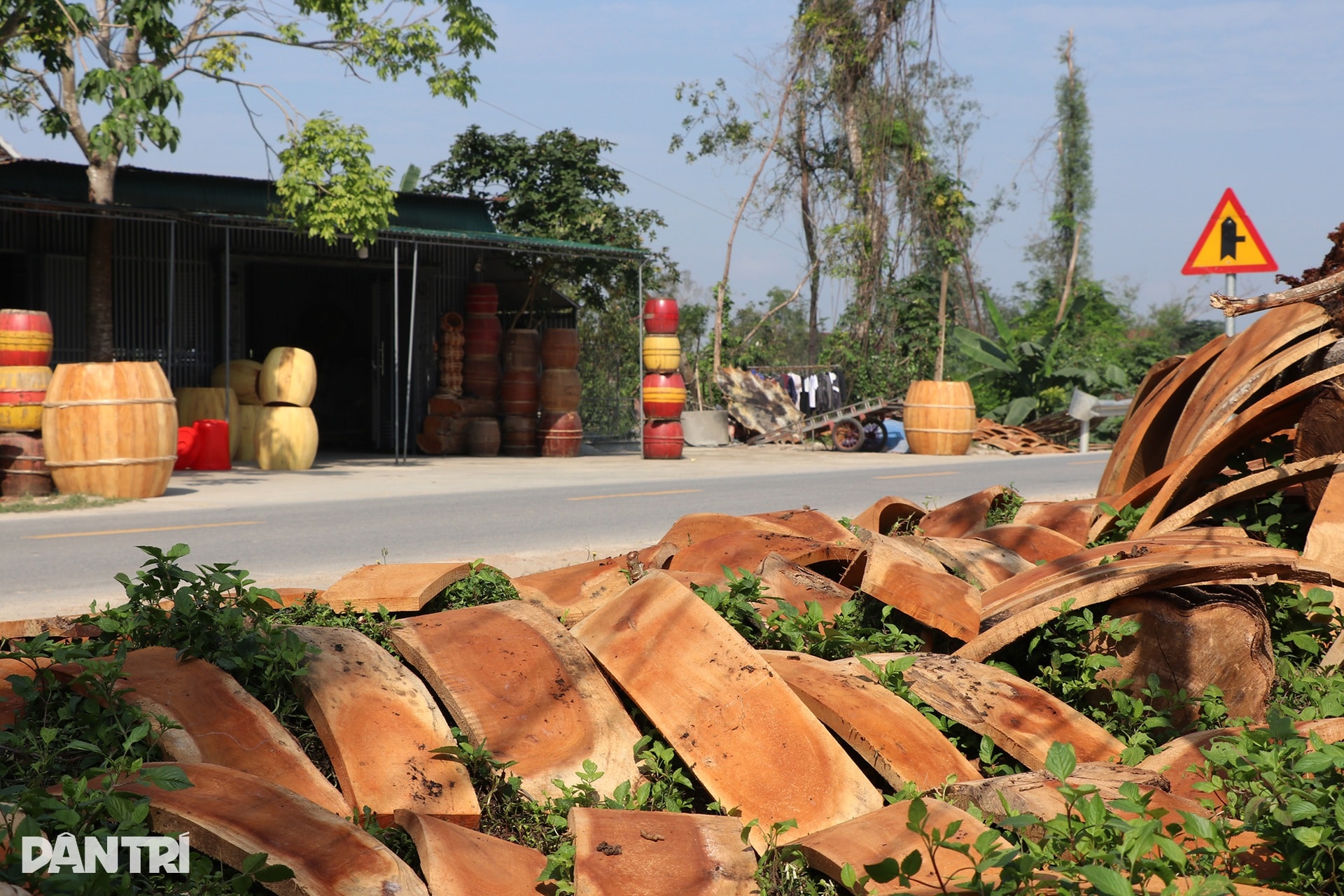 Nghề tay gõ nhịp, chân nhún nhảy vào vụ Tết - 4