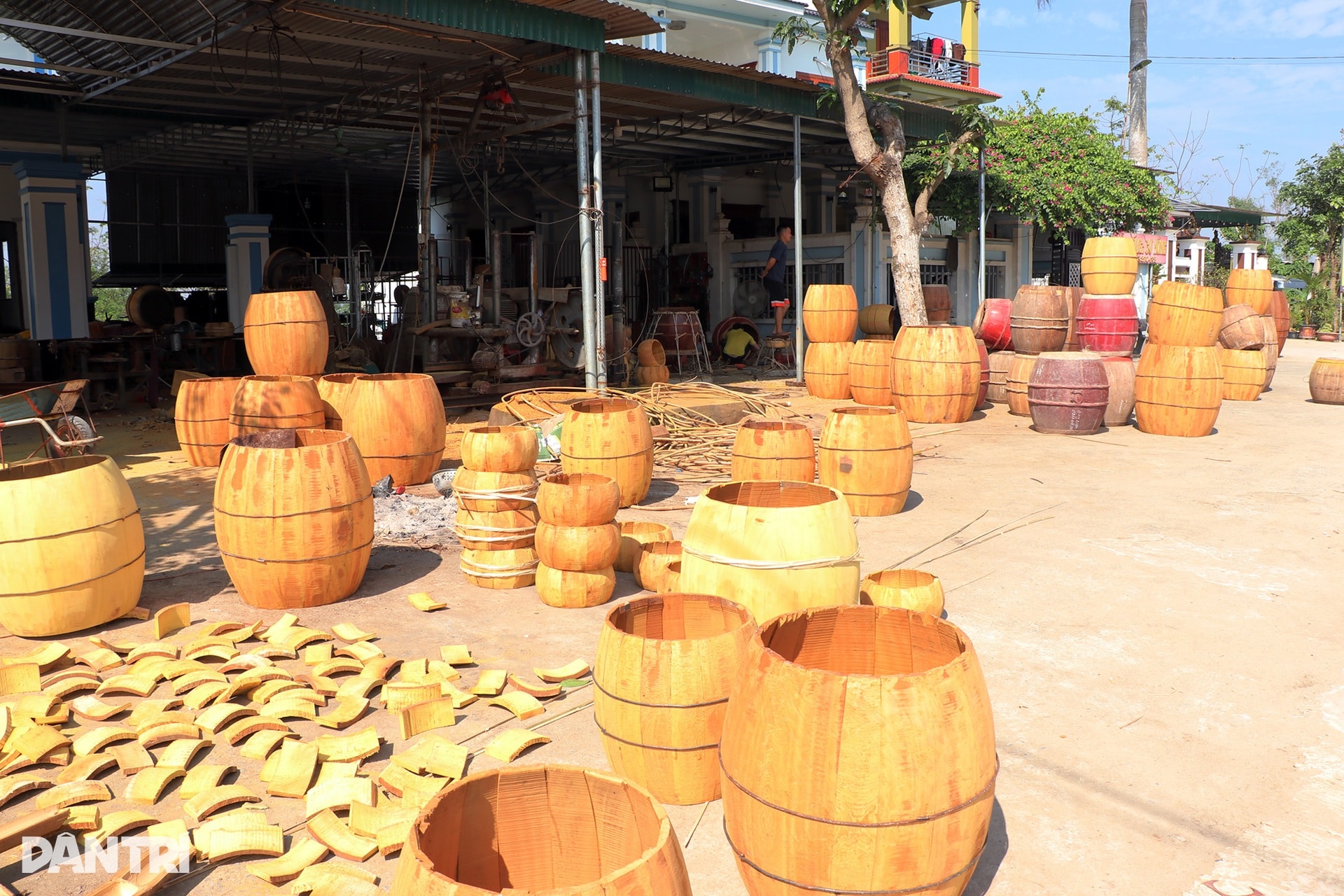 Nghề tay gõ nhịp, chân nhún nhảy vào vụ Tết - 1