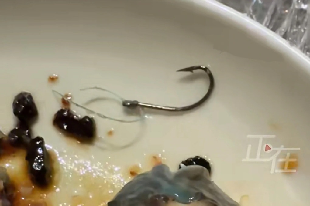 Trung Quốc: Khách phát hiện lưỡi câu lẫn trong món ăn tại nhà hàng Michelin - 1