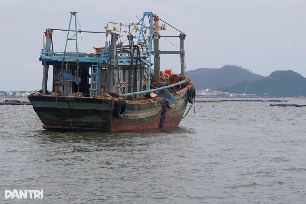 Gần 2 tháng sau bão, tàu cá nằm bờ, ngư dân cõng nợ trở lại biển - 1