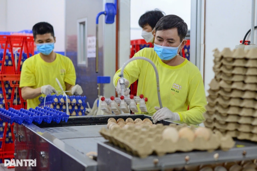 Lâm Đồng thưởng Tết Nguyên đán cao nhất 180 triệu đồng - 2