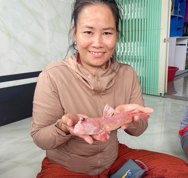 Loại cá thòi lòi màu hồng hiếm gặp được người dân Đất Mũi phát hiện - Ảnh 2.