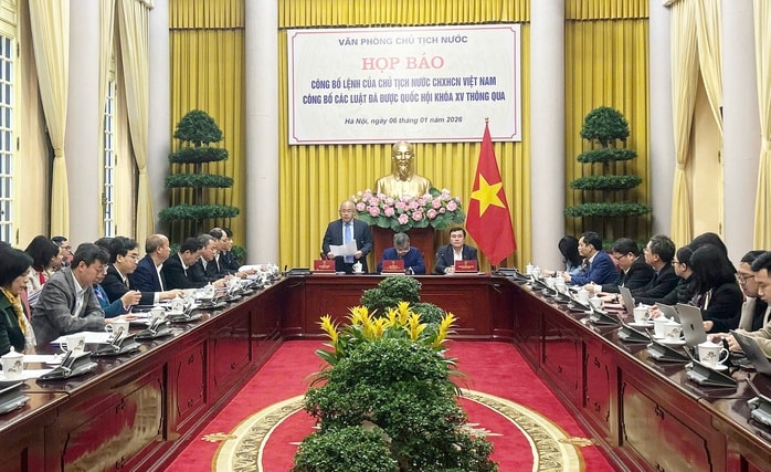 Công bố Lệnh của Chủ tịch nước về các luật thuế, nhiều quy định liên quan hộ kinh doanh - Ảnh 1.