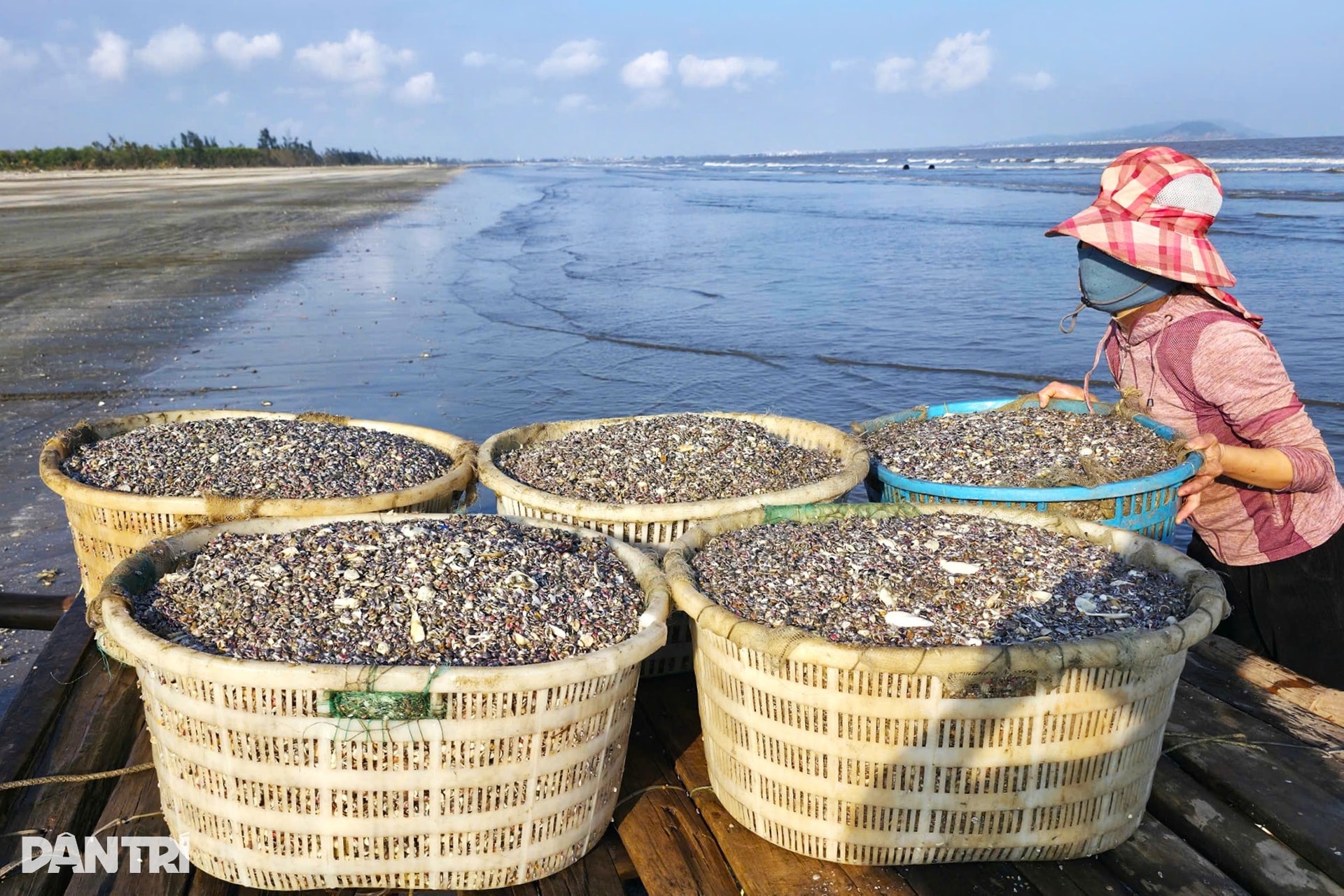 Vươn khơi vài giờ, ngư dân thu tiền triệu sắm Tết - 8 Vươn khơi vài giờ, ngư dân thu tiền triệu sắm Tết - 8