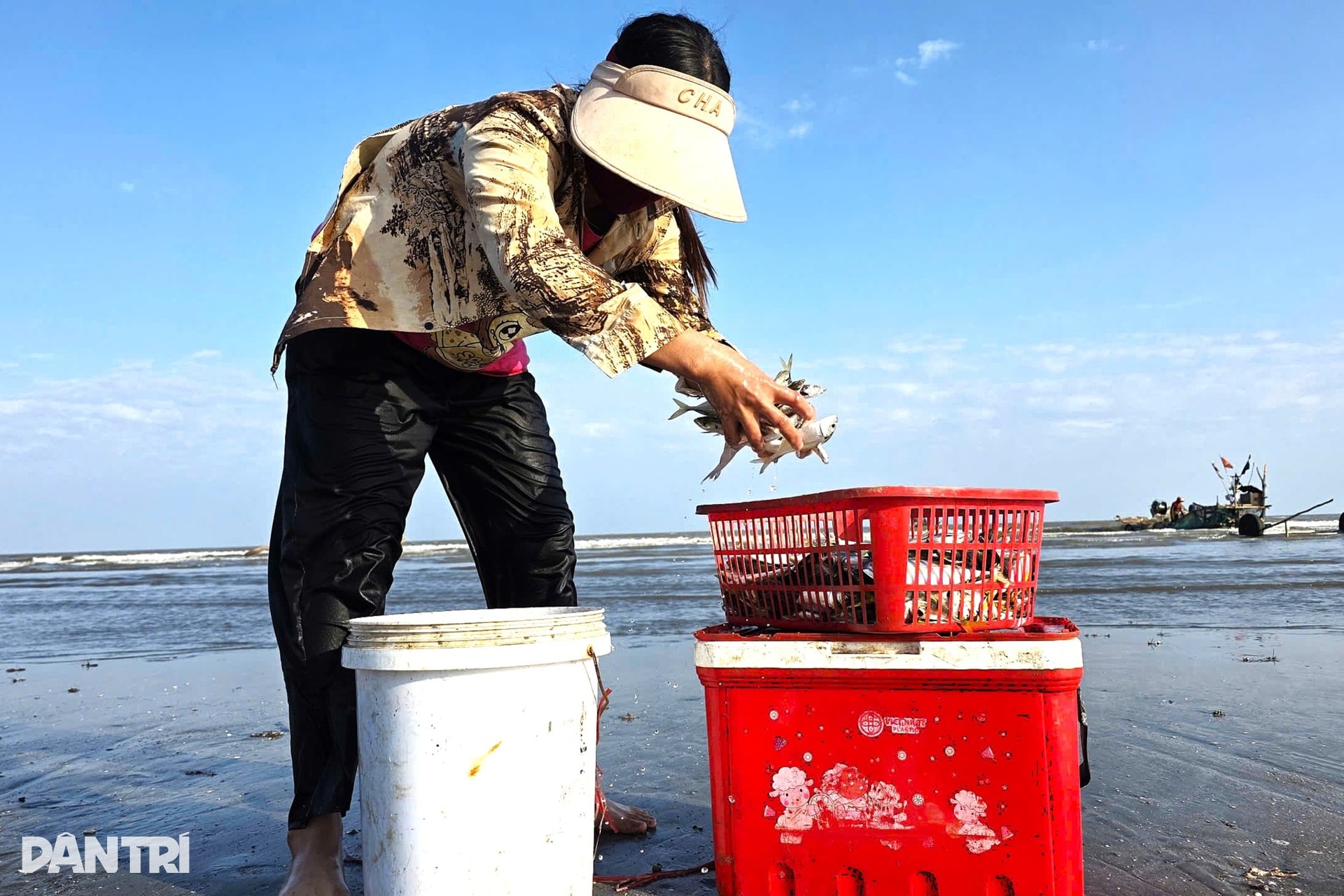 Vươn khơi vài giờ, ngư dân thu tiền triệu sắm Tết - 6 Vươn khơi vài giờ, ngư dân thu tiền triệu sắm Tết - 6