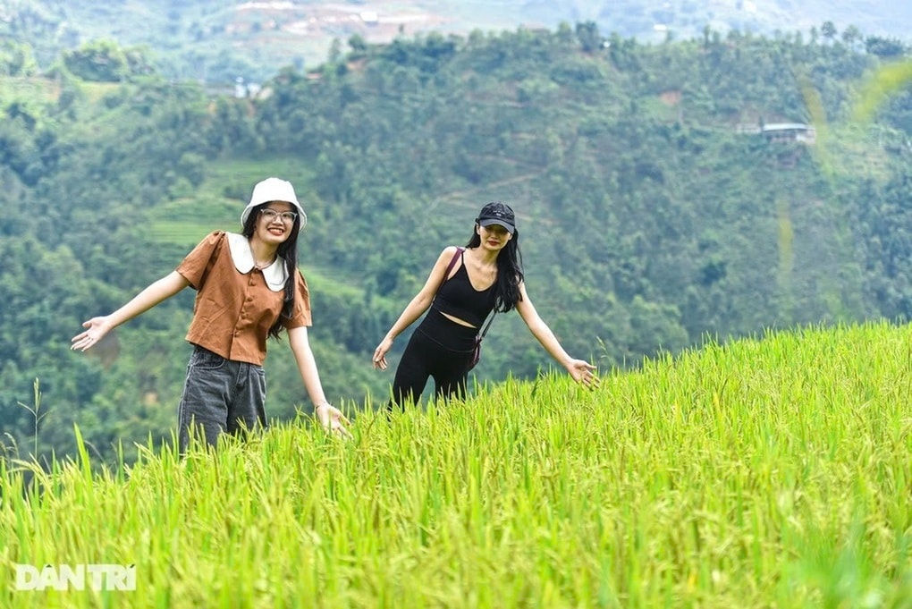 Tuyết phủ Fansipan, Sa Pa trở thành điểm tăng trưởng nhanh nhất châu Á - 1
