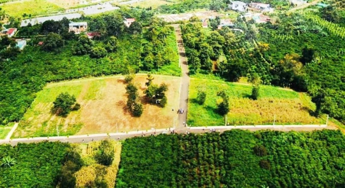 Chủ tịch tập đoàn bán dự án biệt thự ma bị truy nã - 1