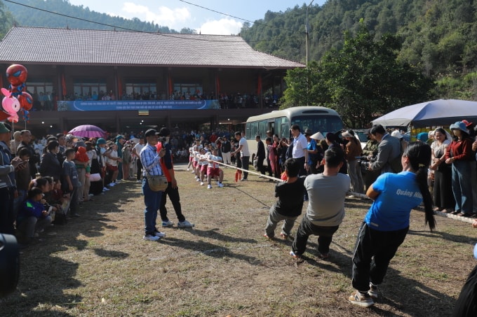 Người dân và du khách tham gia Lễ hội Hoa Sở ở Quảng Ninh vào tháng 12/2025. Ảnh: Đức Bằng