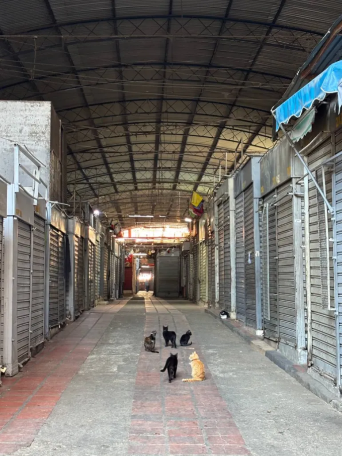 Nhiều cửa hàng ở Caracas đóng cửa vào sáng 5/1. Ảnh: Al Jazeera