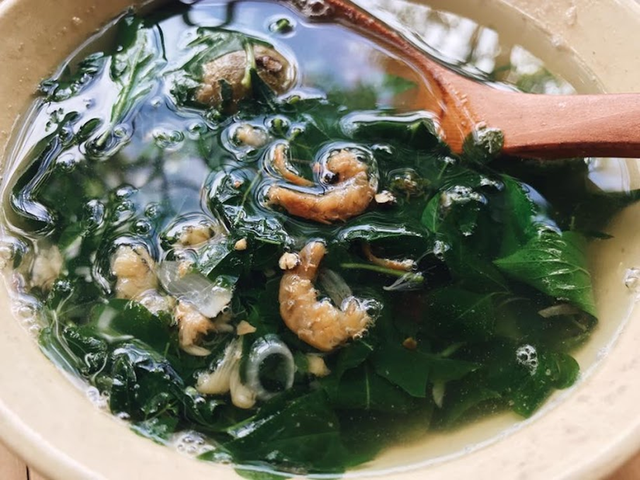 Đừng chỉ ăn quả, lá loại cây này quý như "nhân sâm người nghèo", ở quê rất nhiều - Ảnh 3.