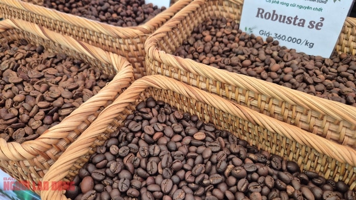 Giá cà phê hôm nay 7-1: Bật tăng, lấy lại mốc quan trọng - Ảnh 1.