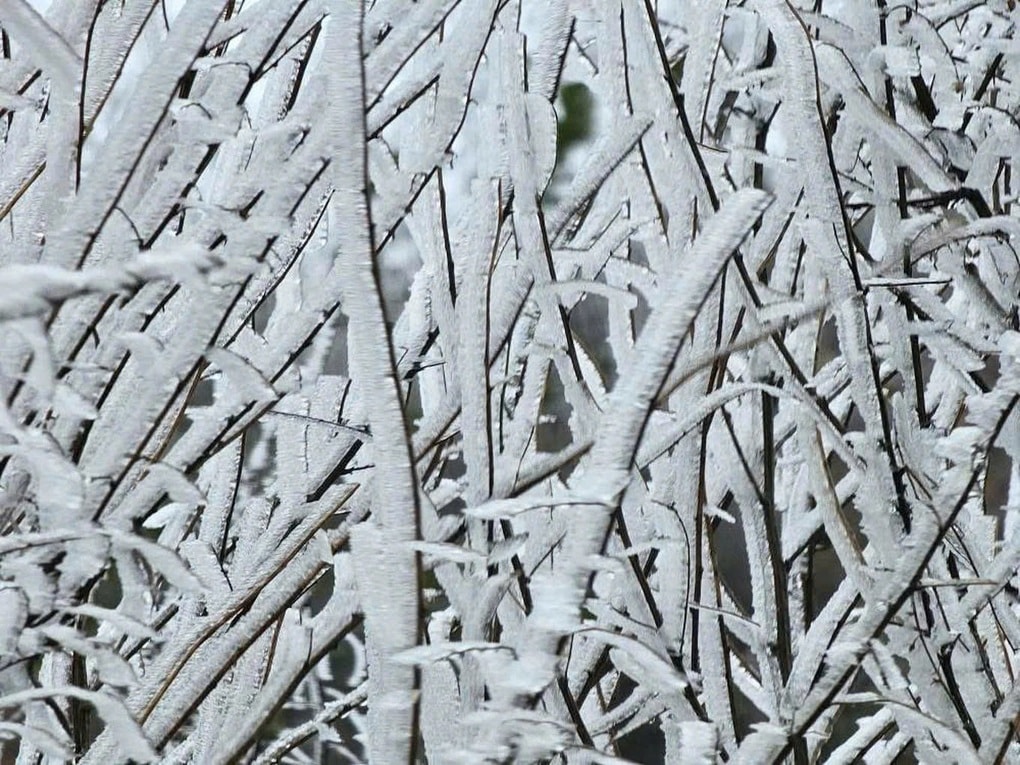 Đi đâu để có thể săn tuyết tại Việt Nam? - 3