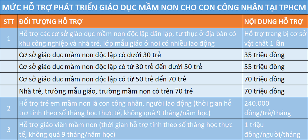 TPHCM rà soát công nhân toàn thành phố để hỗ trợ tiền gửi trẻ - 4