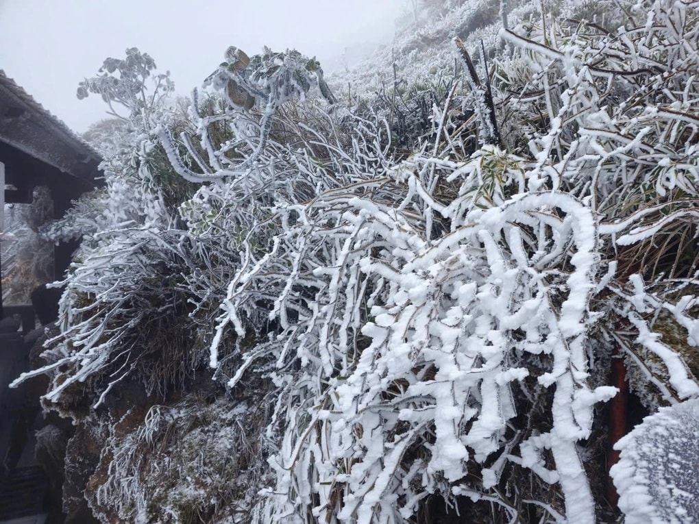 Đi đâu để có thể săn tuyết tại Việt Nam? - 1