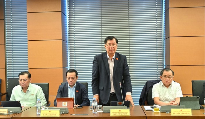 Người nước ngòai làm giám đốc doanh nghiệp nhà nước có phải kê khai tài sản không? - Ảnh 1.