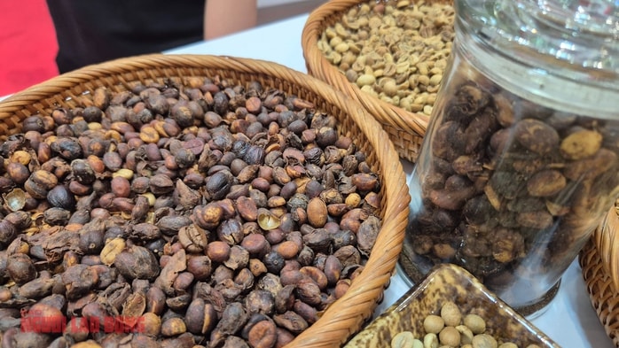 Giá cà phê hôm nay 8 - 1: Robusta giảm , Arabica tăng khi Việt Nam xuất khẩu bùng nổ - Ảnh 3.