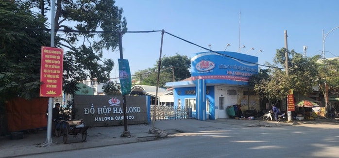 Vụ hơn 130 tấn thịt lợn nhiễm dịch tả heo châu Phi tại Công ty CP đồ hộp Hạ Long - Ảnh 3. Vụ hơn 130 tấn thịt lợn nhiễm dịch tả heo châu Phi tại Công ty CP đồ hộp Hạ Long - Ảnh 3.