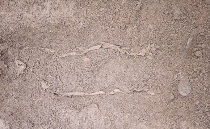 Hài cốt liệt sĩ bọc trong tăng. Ảnh: Đội 584