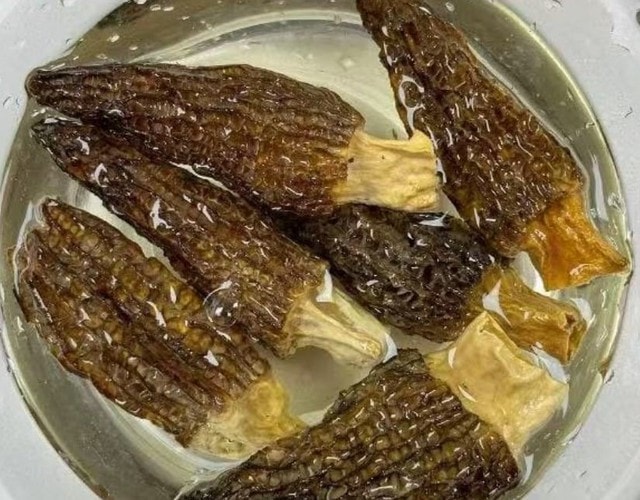 Loại cây dại mọc um tùm ở Việt Nam, "trời Tây" bán giá 13 triệu đồng/kg vẫn có người rút hầu bao - Ảnh 3.