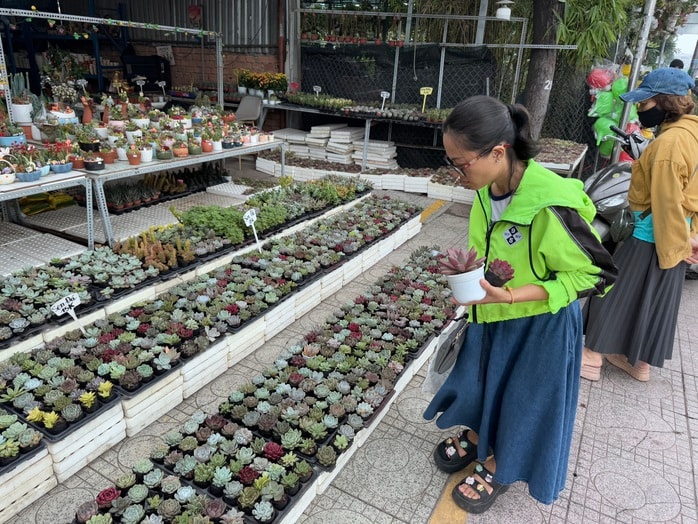 Hoa kiểng Tết bắt đầu đổ về TP HCM, giá bán giảm mạnh- Ảnh 3. Hoa kiểng Tết bắt đầu đổ về TP HCM, giá bán giảm mạnh- Ảnh 3.