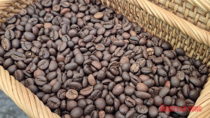 Giá cà phê hôm nay 9 - 1 giảm nhẹ , dự báo tiêu thụ toàn cầu tăng kỷ lục - Ảnh 2.