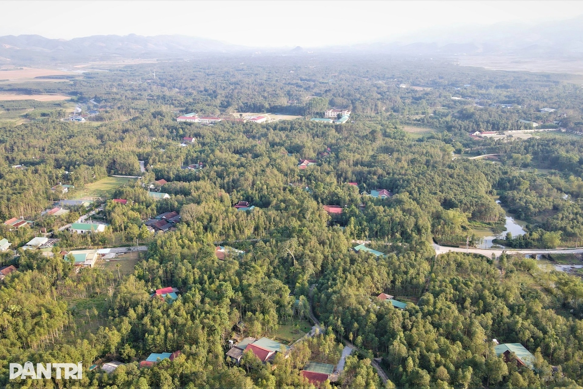 Cận cảnh khúc gỗ trăm năm có một, được định giá tiền tỷ - 11 Cận cảnh khúc gỗ trăm năm có một, được định giá tiền tỷ - 11