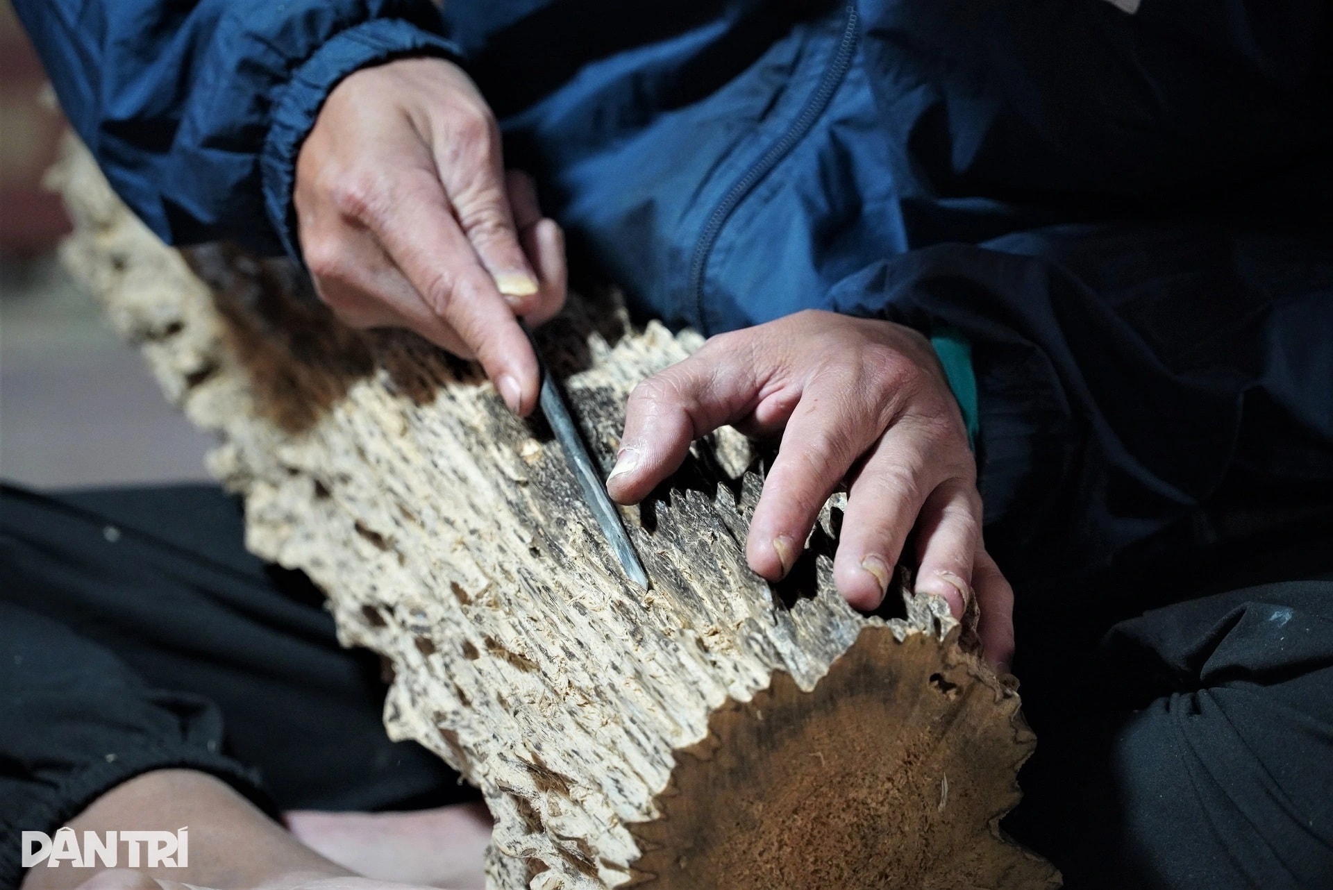 Cận cảnh khúc gỗ trăm năm có một, được định giá tiền tỷ - 7 Cận cảnh khúc gỗ trăm năm có một, được định giá tiền tỷ - 7