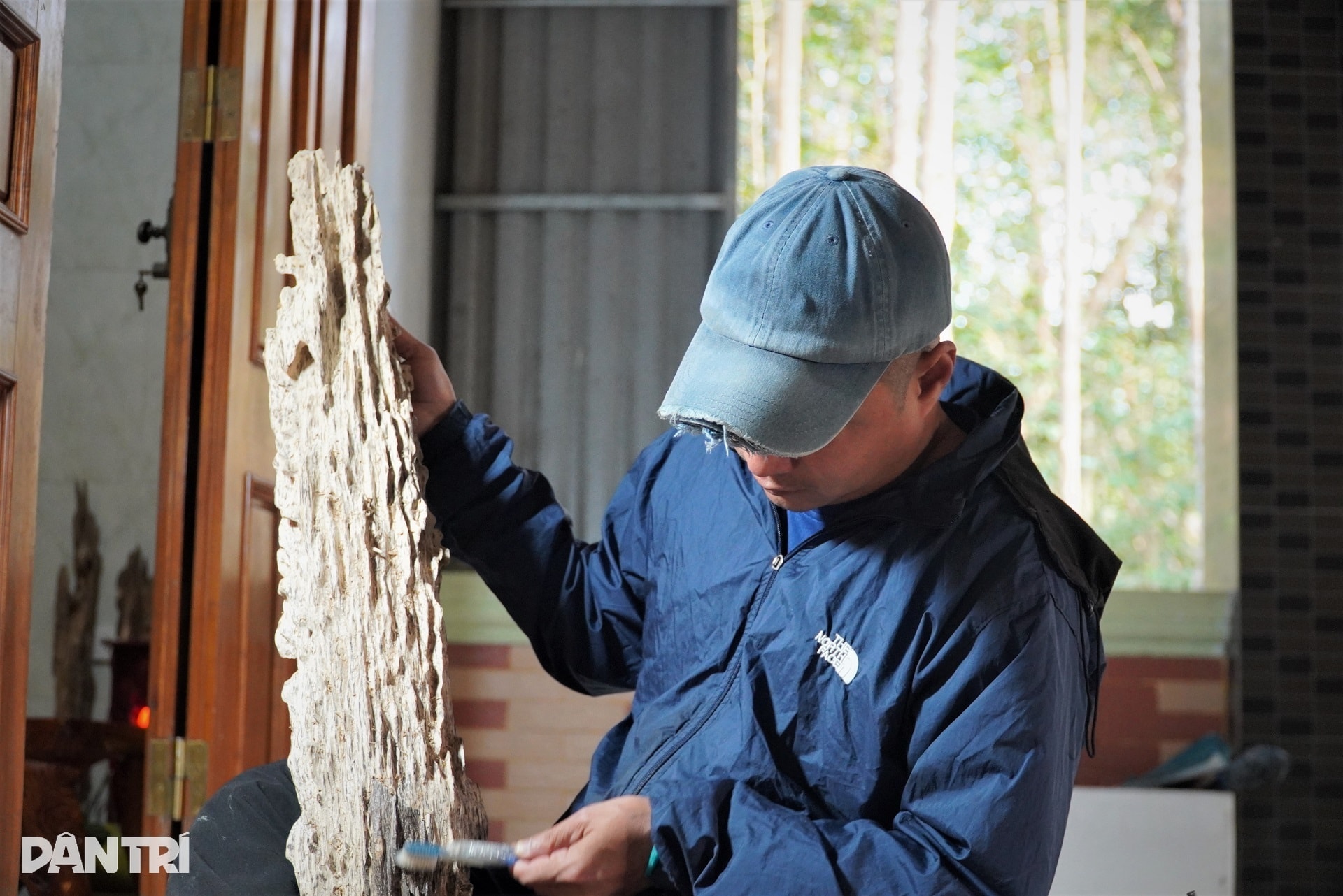 Cận cảnh khúc gỗ trăm năm có một, được định giá tiền tỷ - 6 Cận cảnh khúc gỗ trăm năm có một, được định giá tiền tỷ - 6