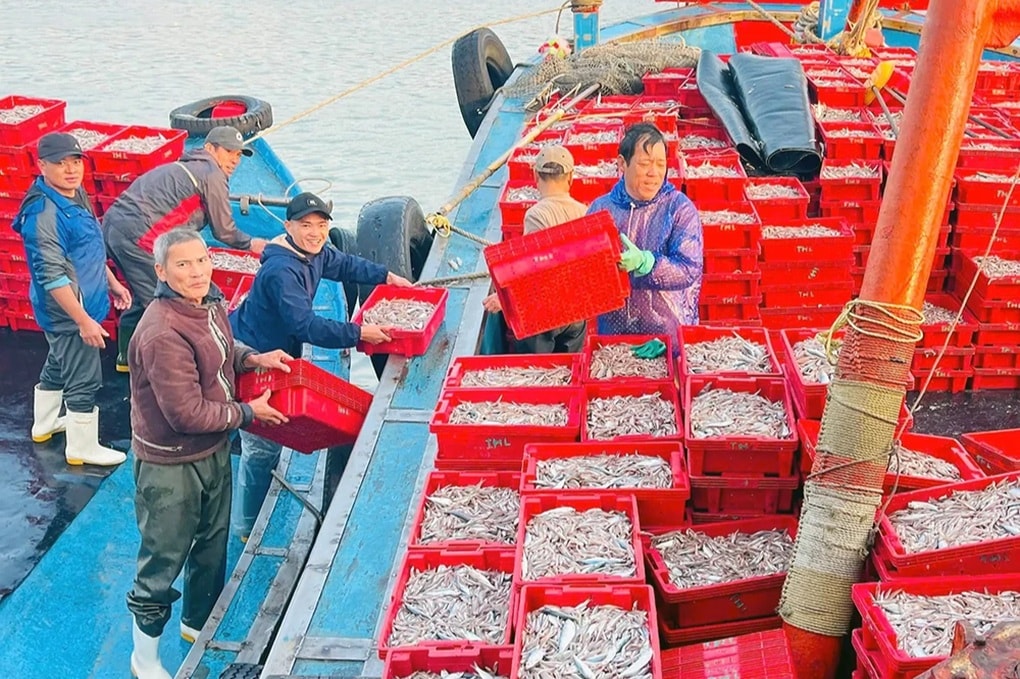 Ngư dân về bờ sớm trong chuyến đi biển bất ngờ ngày đầu năm - 2 Ngư dân về bờ sớm trong chuyến đi biển bất ngờ ngày đầu năm - 2
