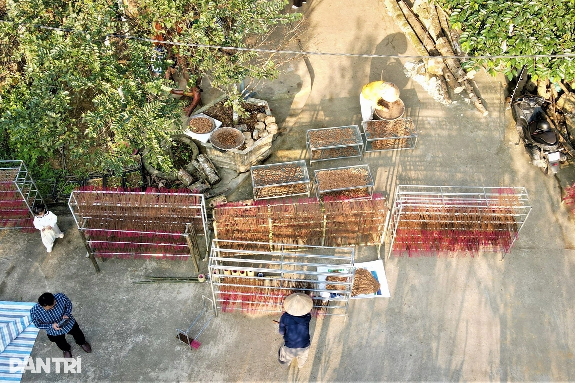 Cận cảnh khúc gỗ trăm năm có một, được định giá tiền tỷ - 12 Cận cảnh khúc gỗ trăm năm có một, được định giá tiền tỷ - 12