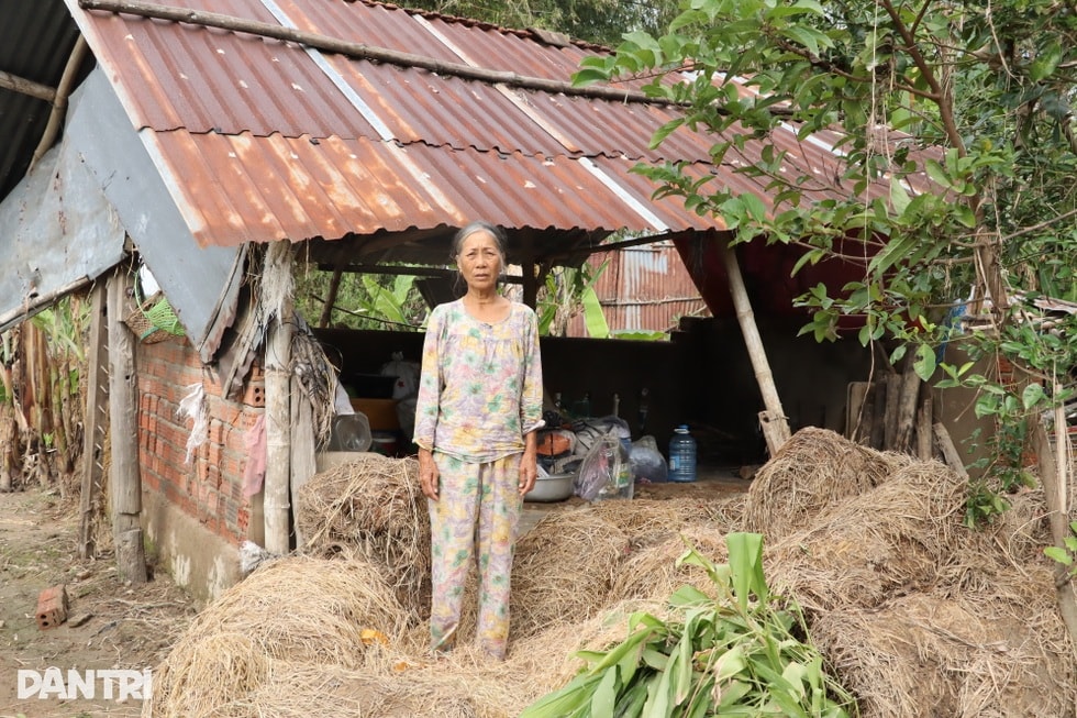 Người dân vùng lũ khát khao Tết ấm - 7