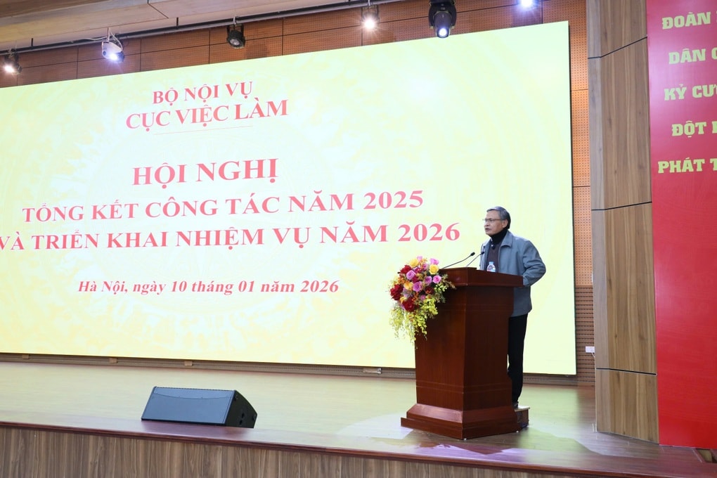 Áp lực chuyển đổi số lớn, sàn giao dịch việc làm quốc gia chuẩn bị vận hành - 3