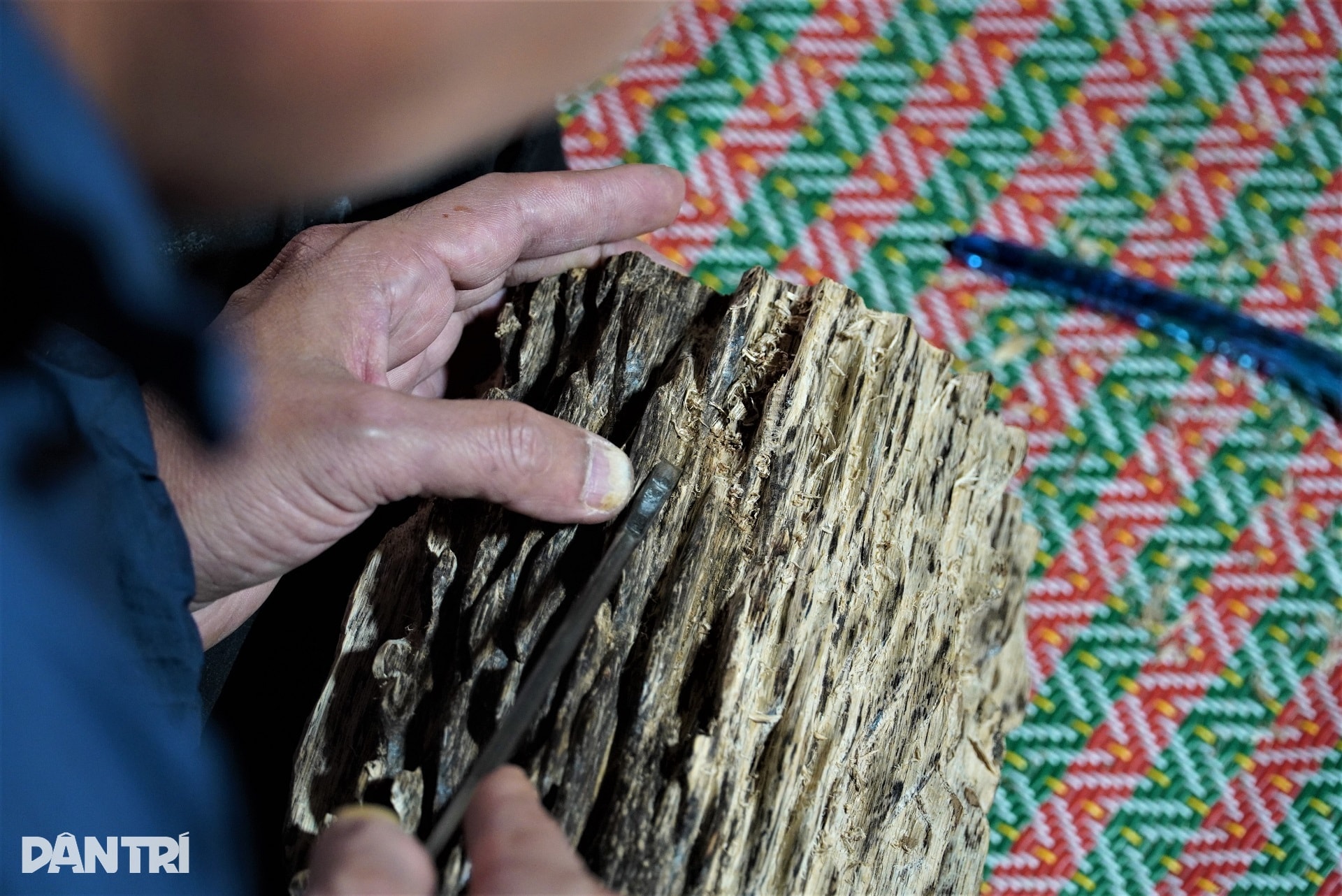Cận cảnh khúc gỗ trăm năm có một, được định giá tiền tỷ - 8 Cận cảnh khúc gỗ trăm năm có một, được định giá tiền tỷ - 8