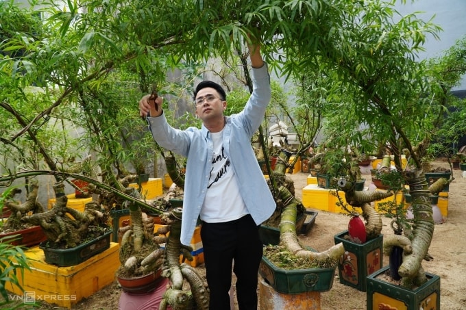 Hồ Ngọc Kha trong vườn tre bonsai ở khu đô thị Ngọc Bảo Viên, Quảng Ngãi. Ảnh: Phạm Linh