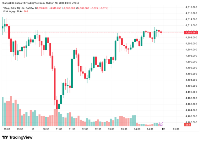 Giá vàng hôm nay 10/1: Trong nước “leo thang”, thế giới phục hồi nhẹ- Ảnh 1.