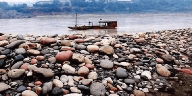 Lạ lùng ra suối nhặt thứ tưởng bỏ đi về bán, dân làng kiếm "chơi chơi" hơn 72 tỷ đồng/năm - Ảnh 3.