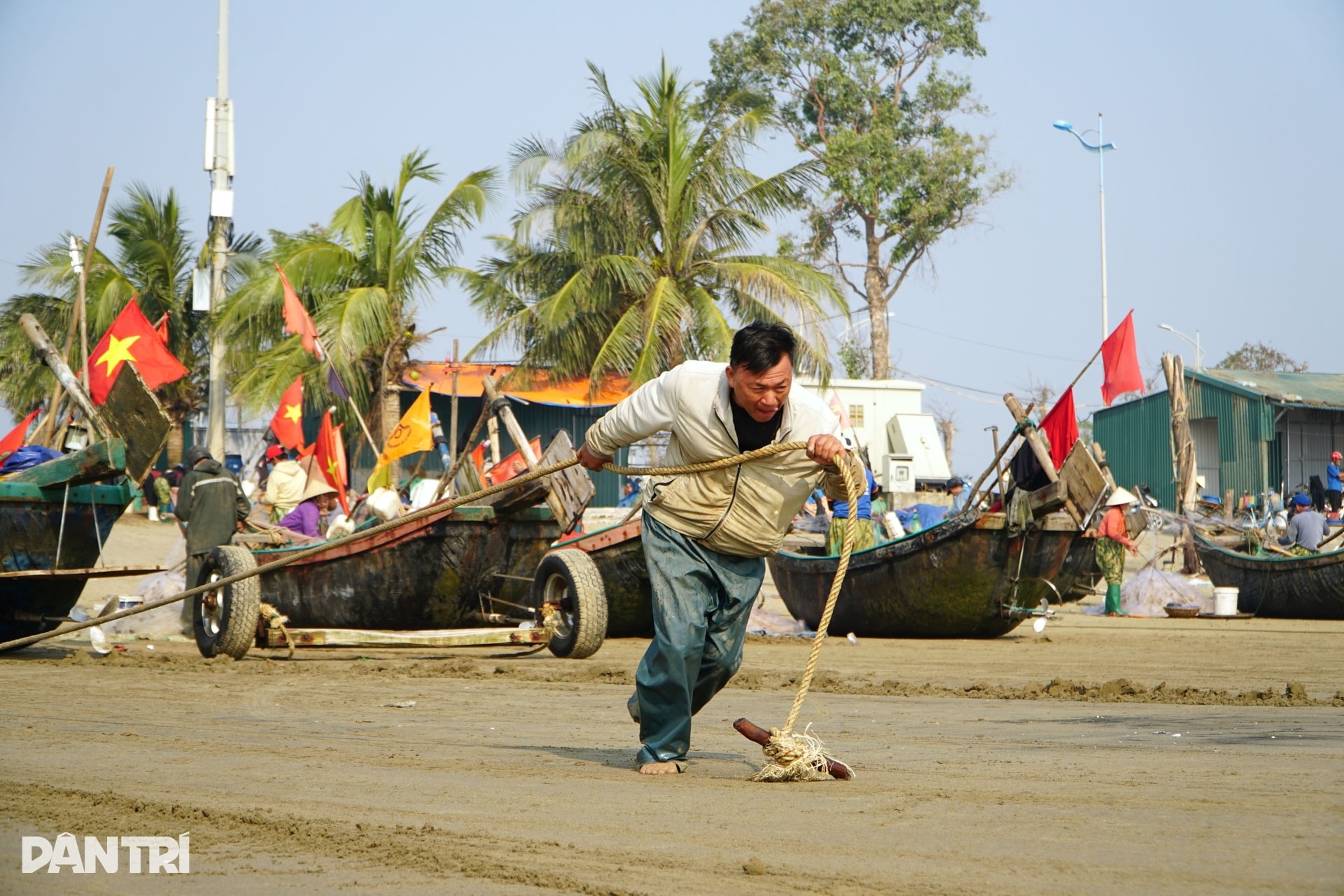 Lạnh tê tái, ngư dân ra khơi săn loài cá đắt đỏ, thu vài triệu đồng - 5