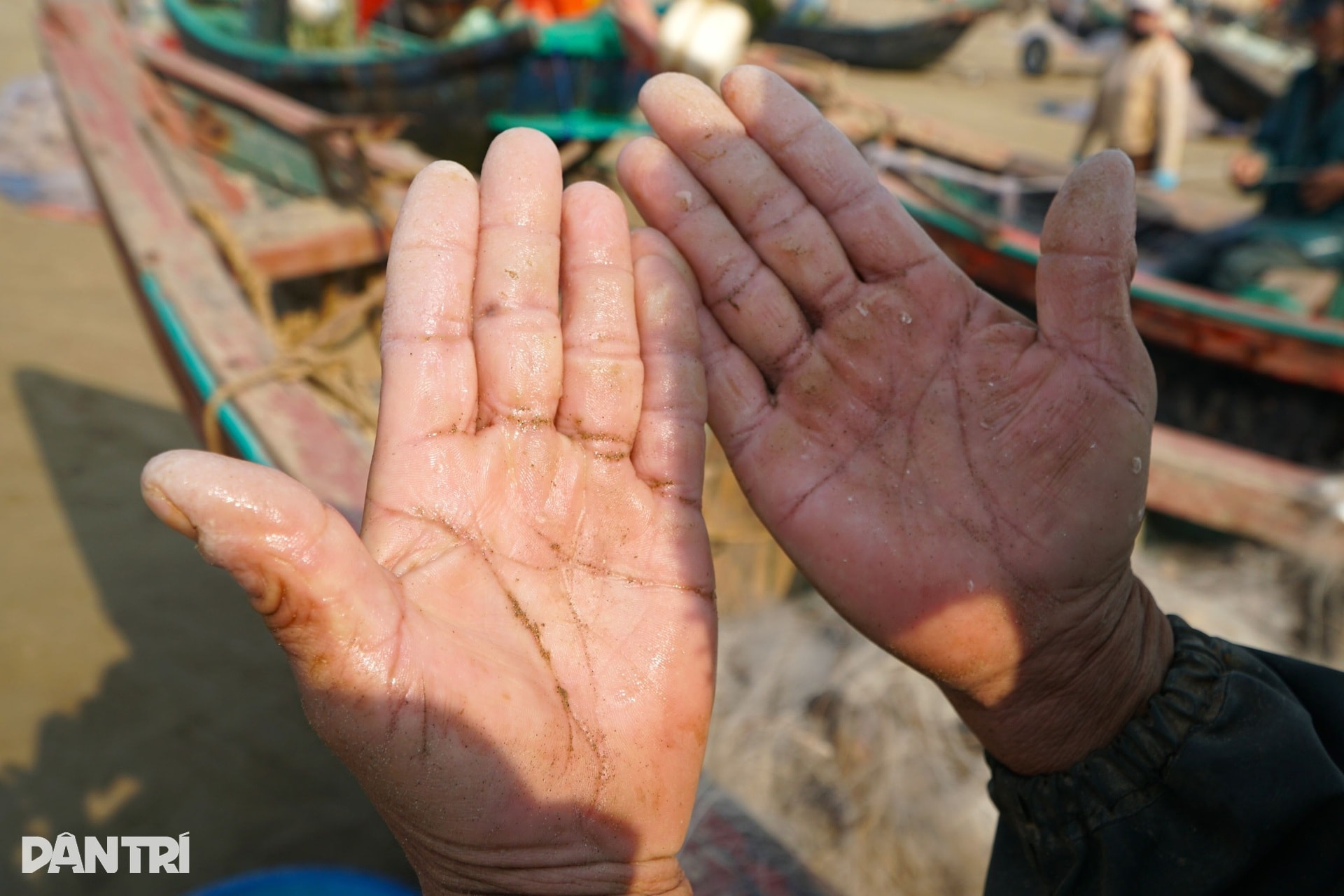 Lạnh tê tái, ngư dân ra khơi săn loài cá đắt đỏ, thu vài triệu đồng - 8