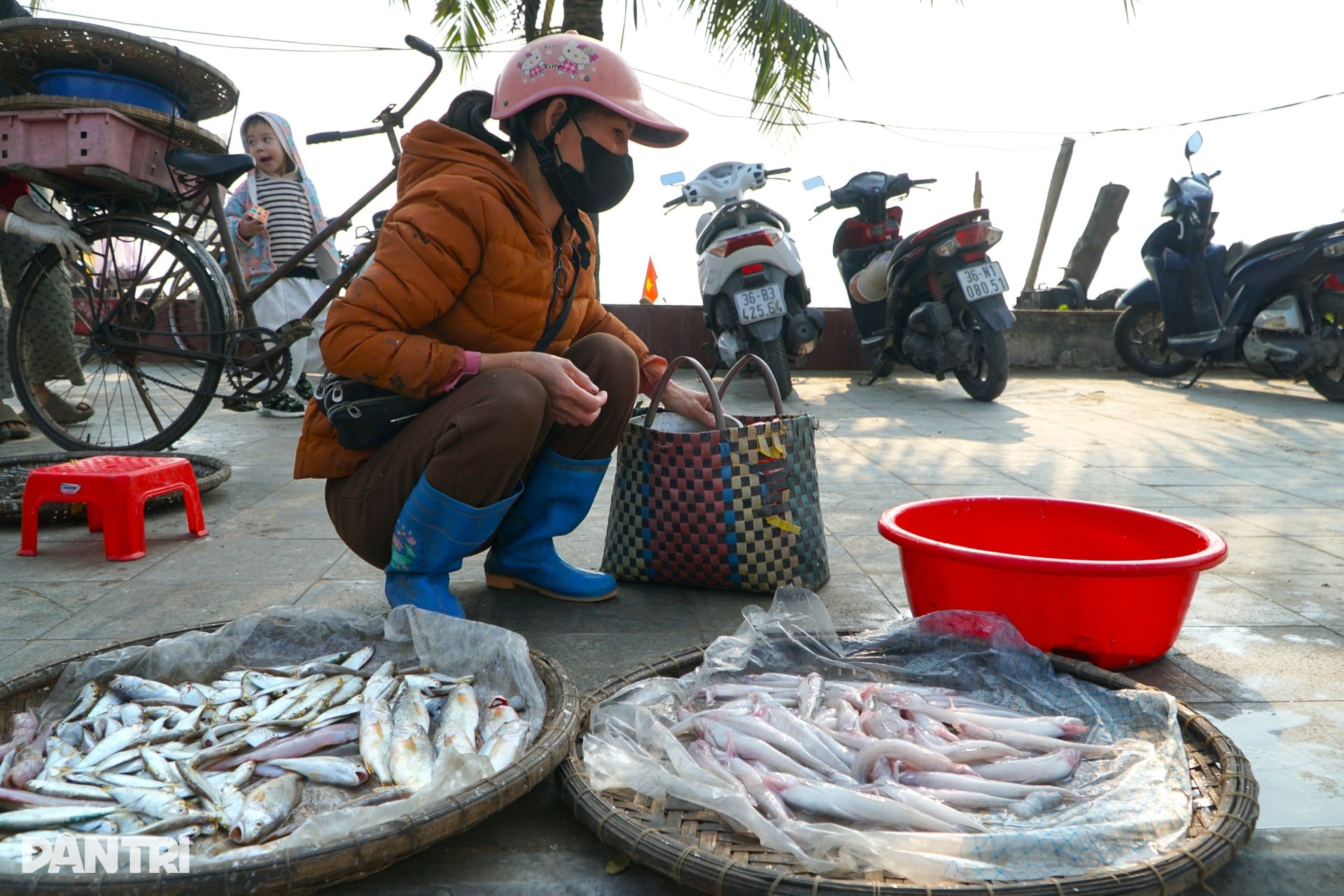 Lạnh tê tái, ngư dân ra khơi săn loài cá đắt đỏ, thu vài triệu đồng - 11