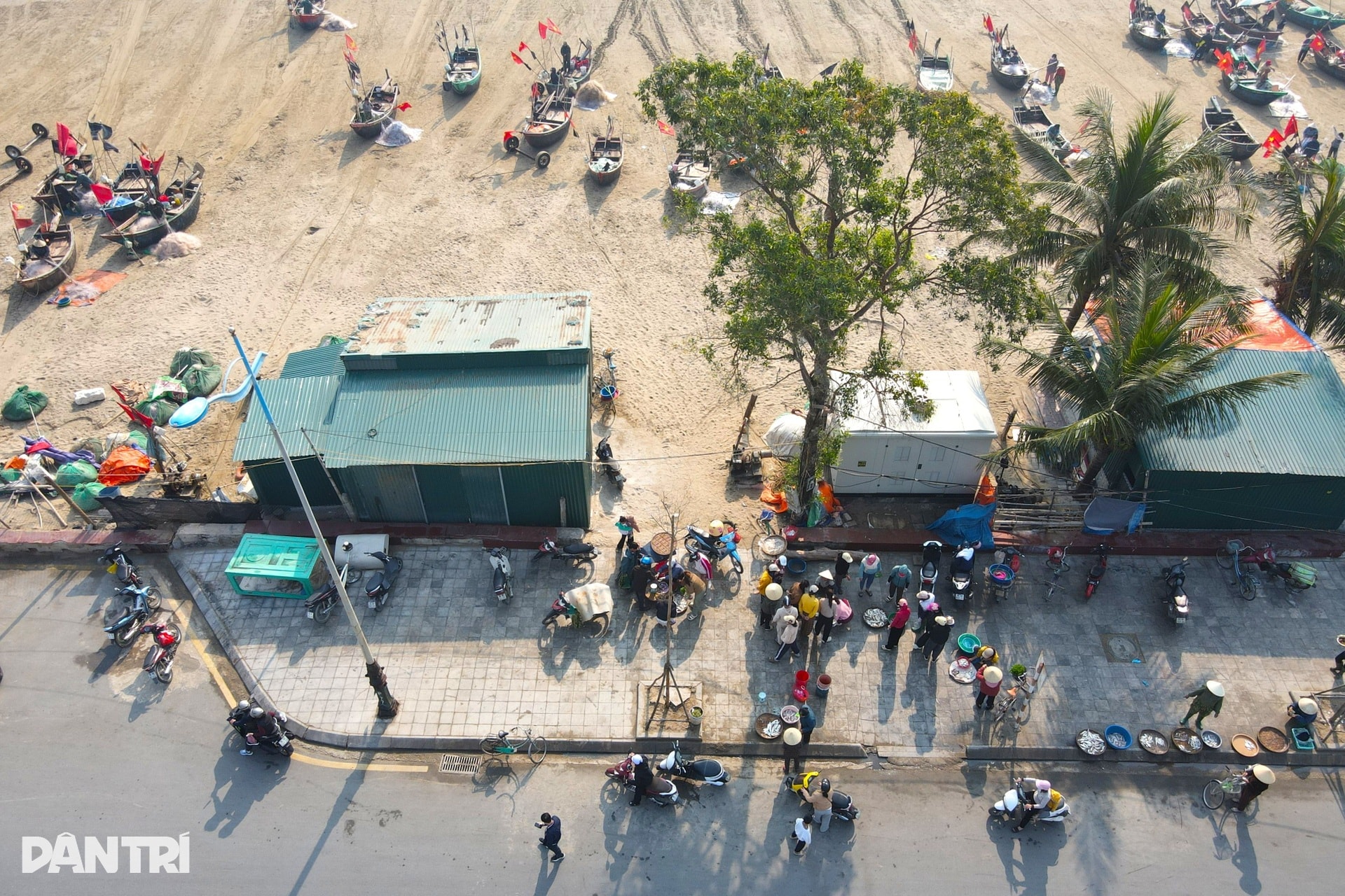 Lạnh tê tái, ngư dân ra khơi săn loài cá đắt đỏ, thu vài triệu đồng - 10