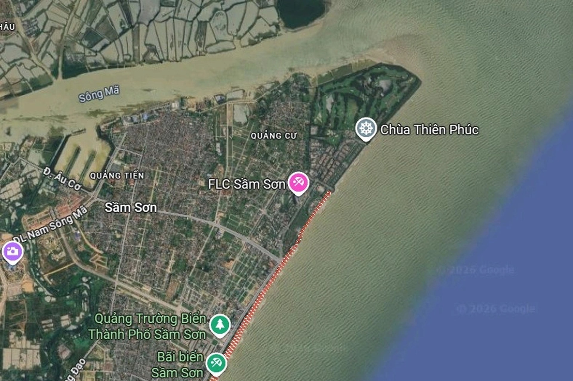 Lạnh tê tái, ngư dân ra khơi săn loài cá đắt đỏ, thu vài triệu đồng - 13