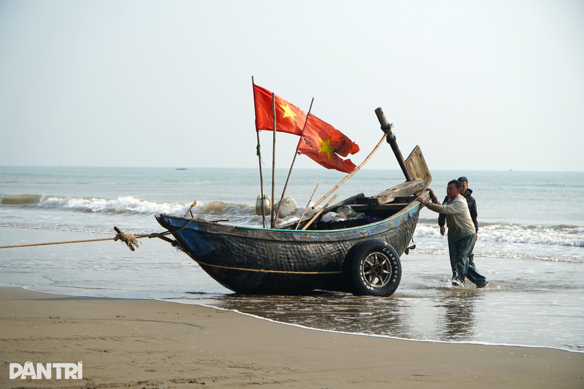 Lạnh tê tái, ngư dân ra khơi săn loài cá đắt đỏ, thu vài triệu đồng - 6