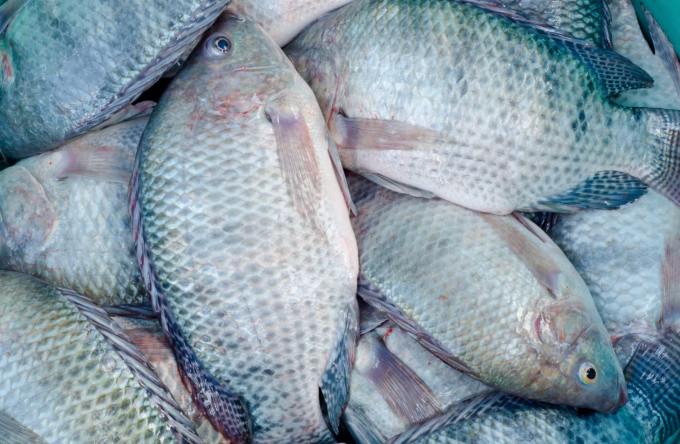 Ảnh minh họa: allaboutfeed