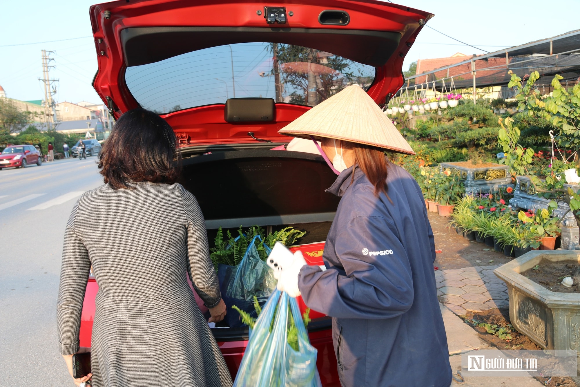 Nghệ An: Thị trường hoa cây cảnh Tết đã khởi động, người dân "tranh thủ" đón xuân sớm- Ảnh 9.